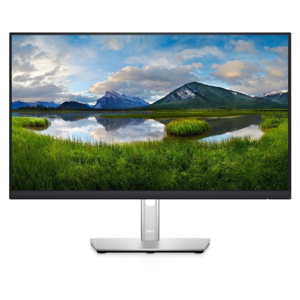 DELL 24" P2422H IPS FHD H-DP-V Tilt-Pivot-HA 3YW