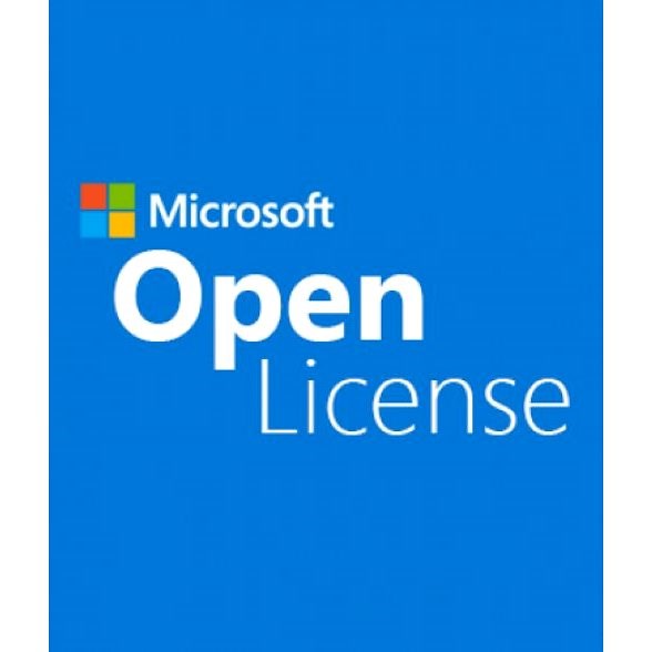 Microsoft Office Professional 2019/2016 OLP NL Gov